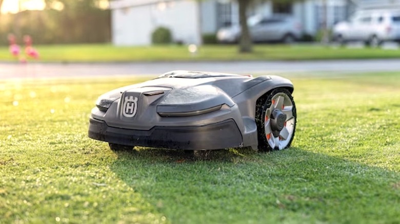 Robot lawn mower mowing