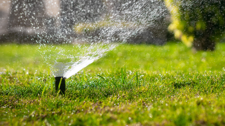 sprinkler head blasting water