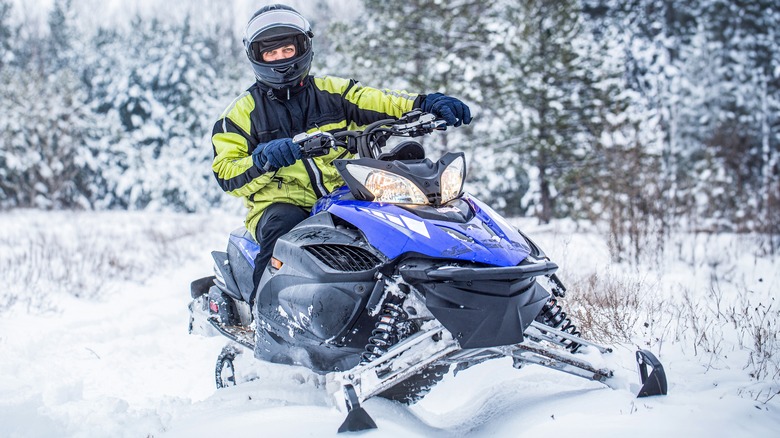 Person on snowmobile in woods