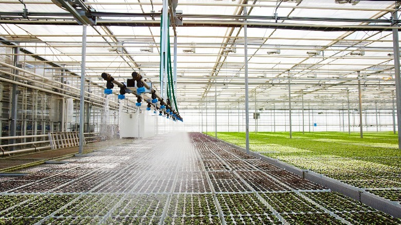 large-scale greenhouse watering system