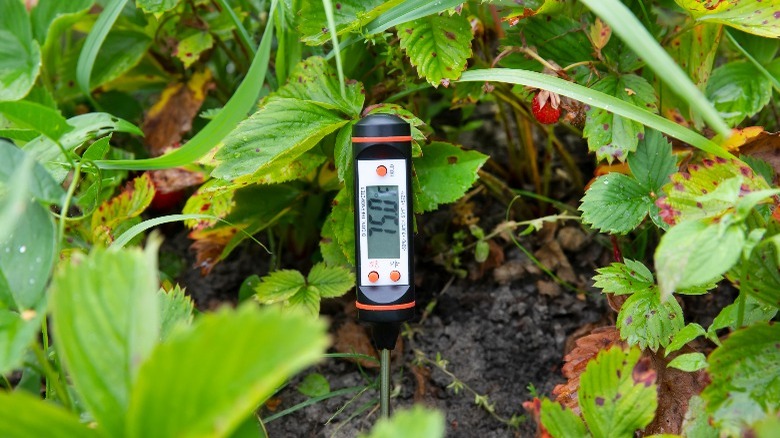 greenhouse temperature monitoring device