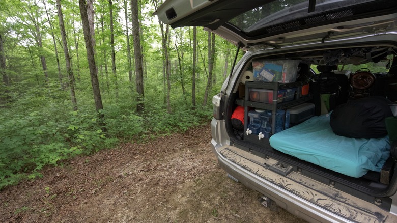 sleeping arrangement in back of SUV