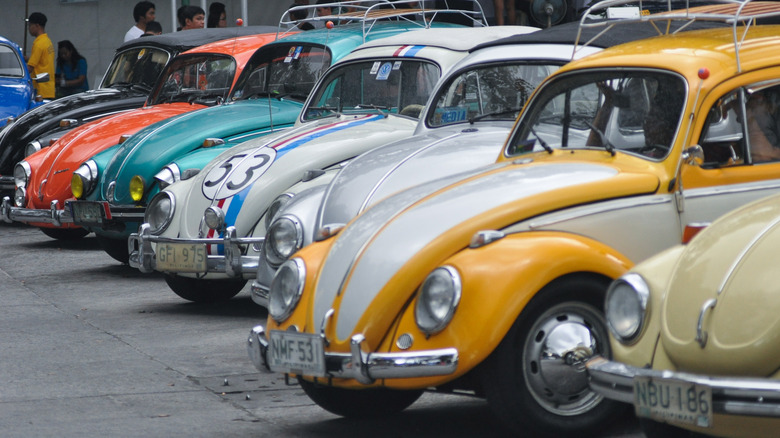 row of VW Beetles