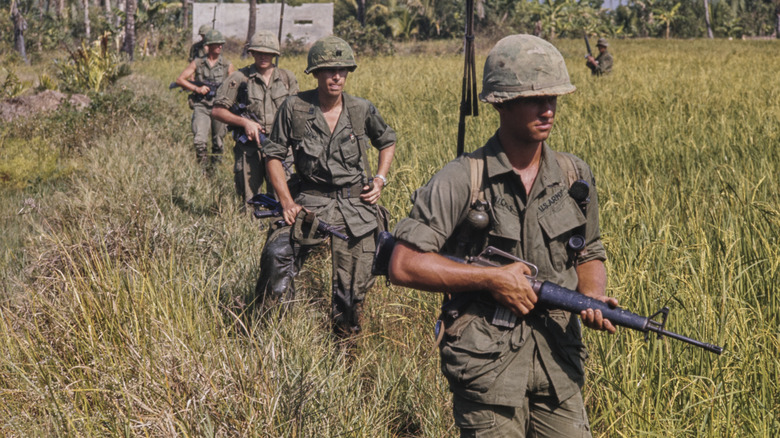 Soldiers walking through high brush