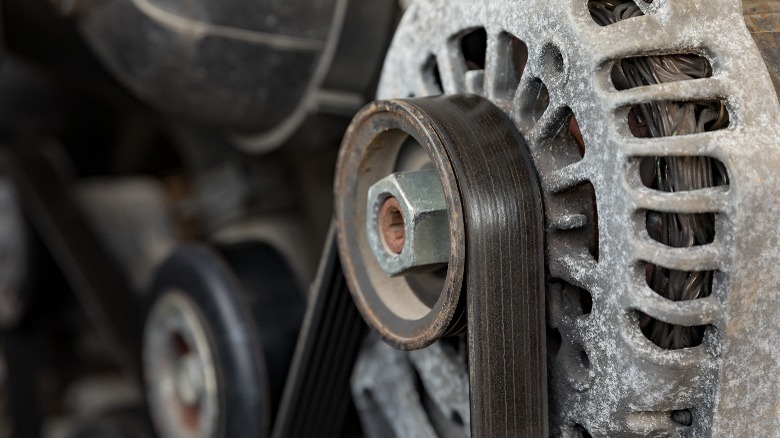 Serpentine belt on an alternator pulley