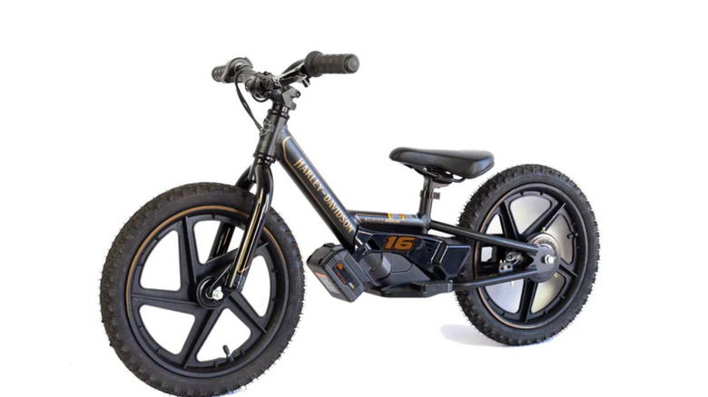 Harley-Davidson e-bike IRONe16