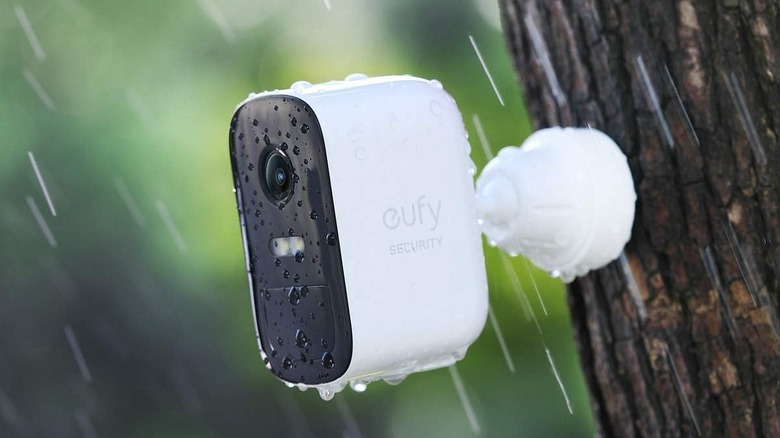 eufyCam 2C Pro mounted to tree in rain