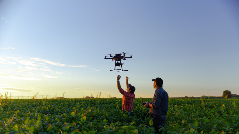 people flying drone over a field