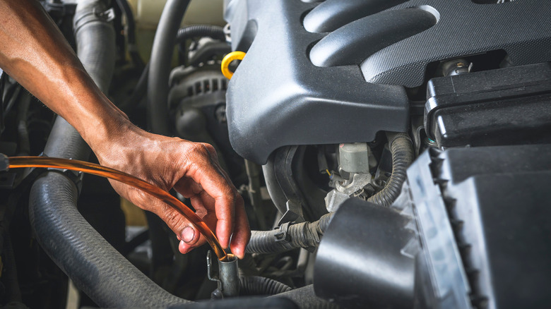 Mechanic Adding Transmission Fluid