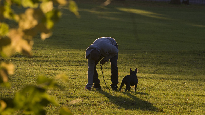 dog owner picking up after dog