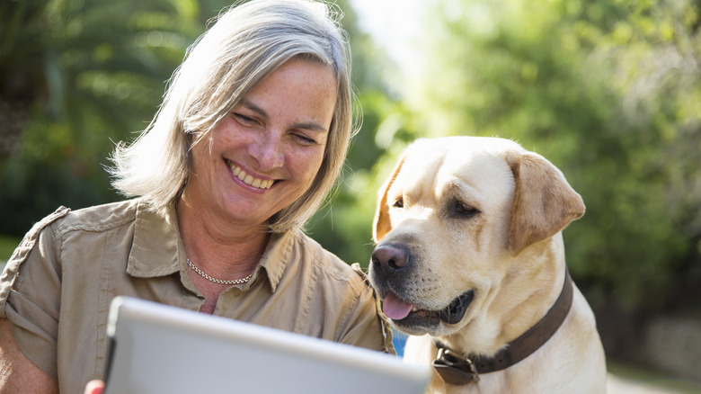 dog looking at tablet