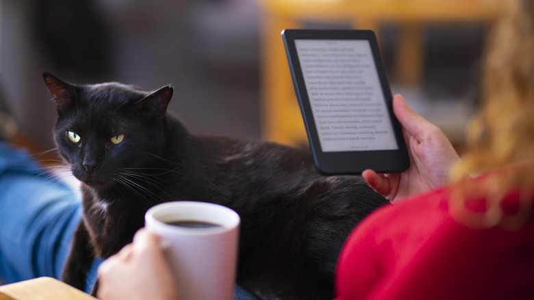 person reading on Kindle with cat