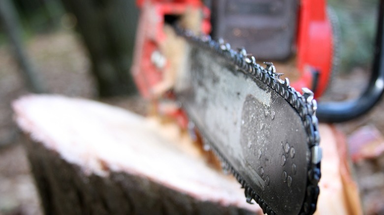 close up chainsaw blade