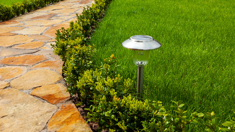 solar light in a yard