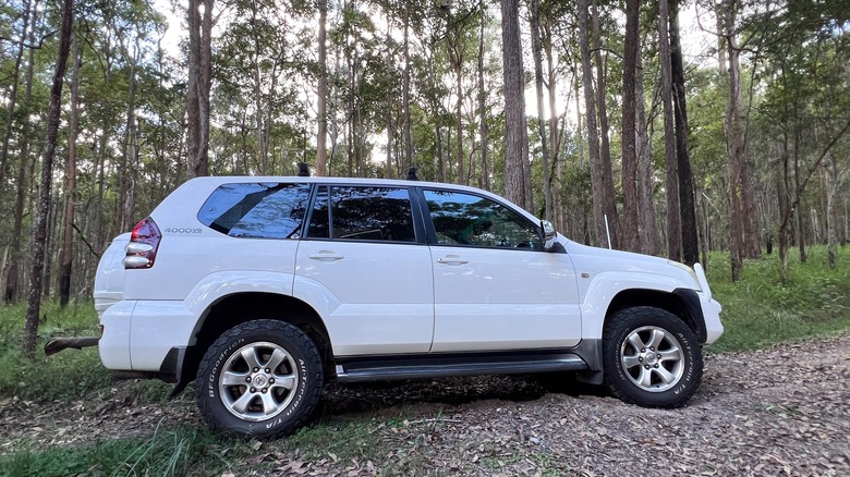 Toyota Land Cruiser Prado in forest