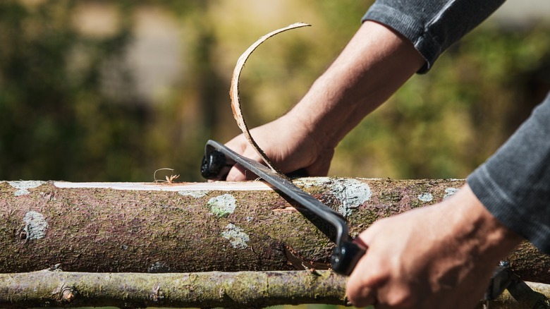 Draw shaver peeling logs