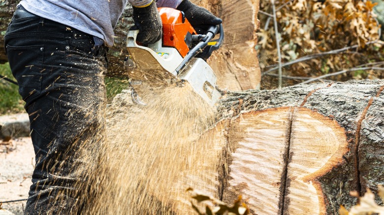 chainsaw cutting wood