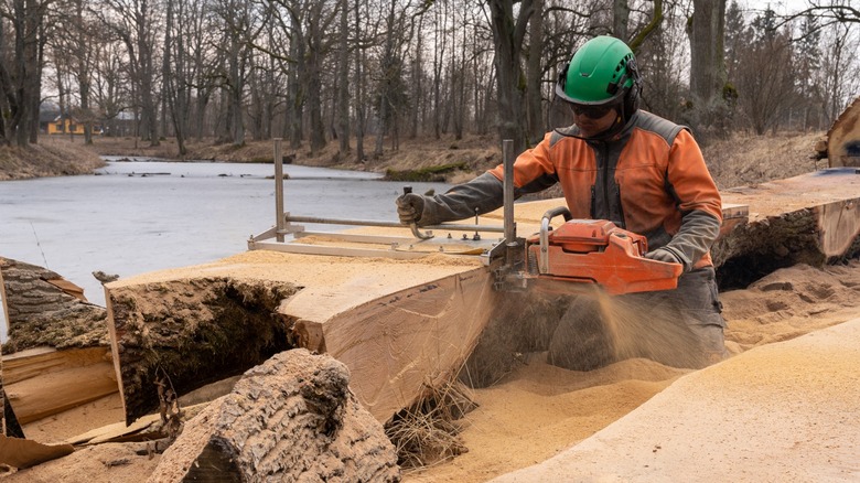 milling lumber with chainsaw mill