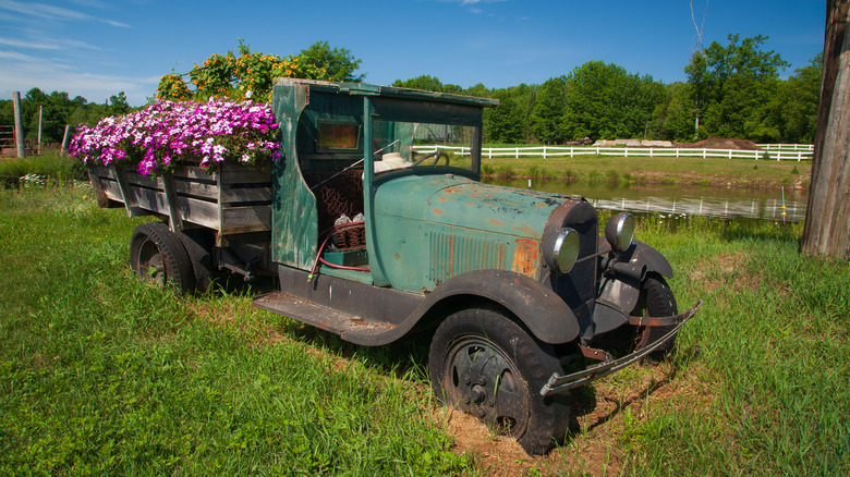 old green truck converted with bed of pink flowers