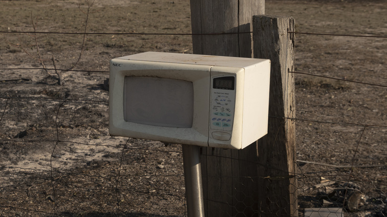 Novelty microwave mailbox