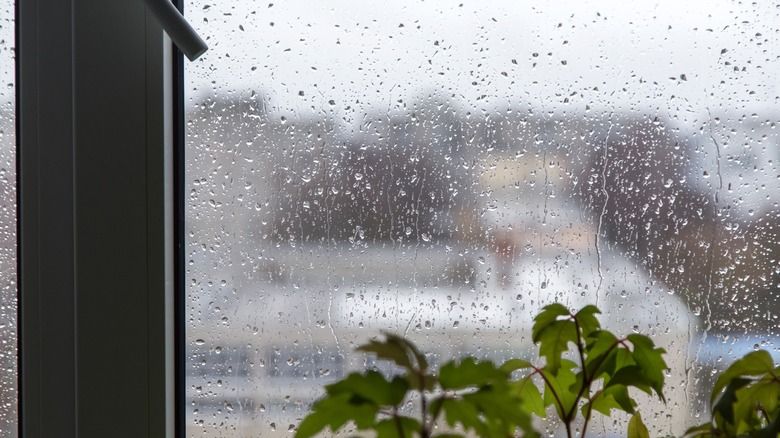 window with rain outside