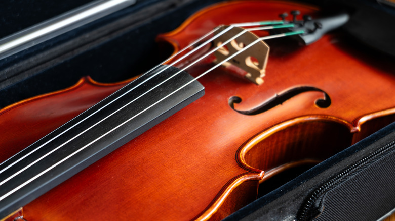 Violin sitting in a case