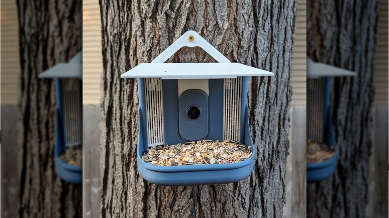 Smart bird feeder