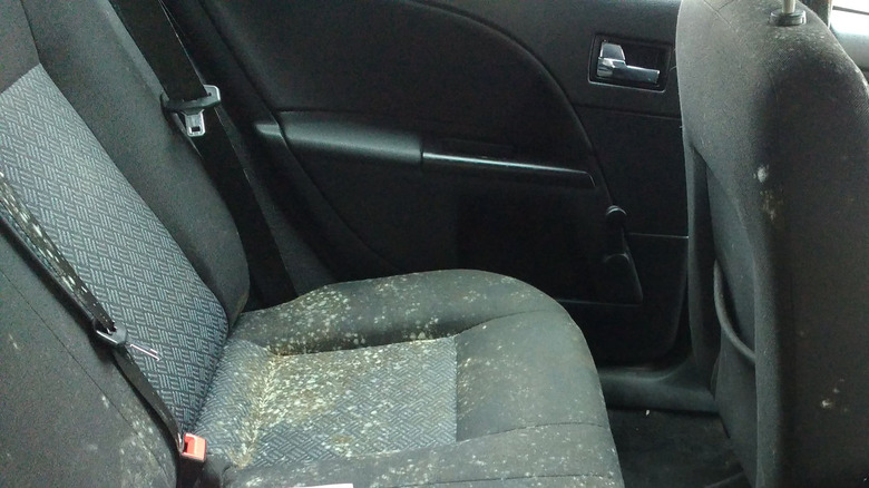 moldy car interior