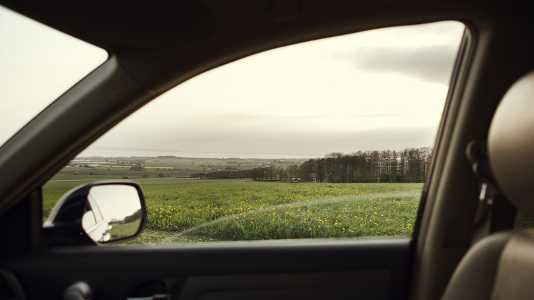 Looking outside a mirror from inside a car