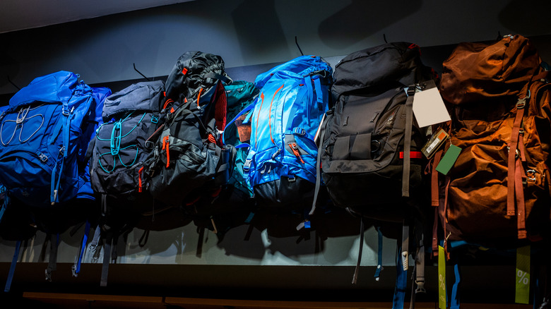 A wall of travel backpacks