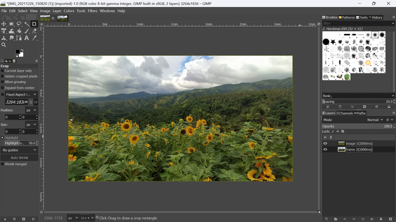 editing sunflower field in GIMP