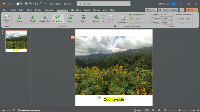 editing sunflower field in PowerPoint