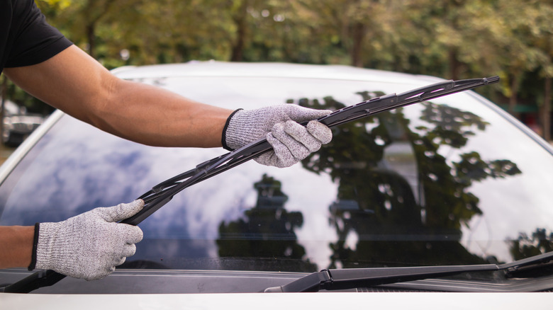 Man With Gloves Inspecting Windshield Wipers On A Car