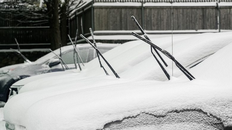 Several Cars Covered In Snow With Their Windshield Wipers Propped Up