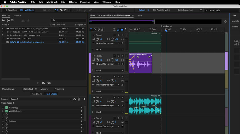 MacBook screen sharing running Adobe Audition