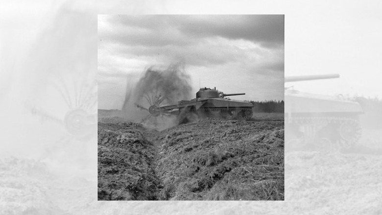 Sherman tank testing crab flail