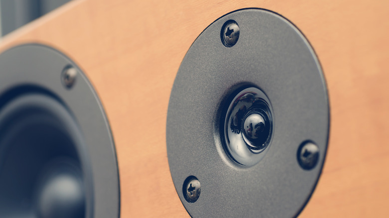 speakers close up