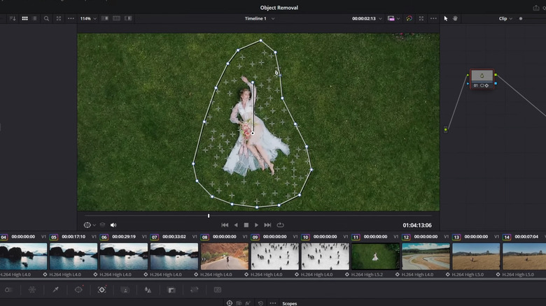 Girl laying in grass with video mask around her in DaVinci Resolve