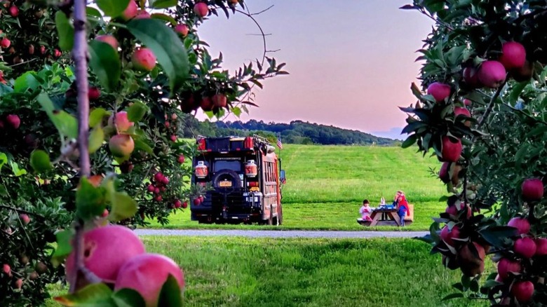 Bus parked as an apple orchard