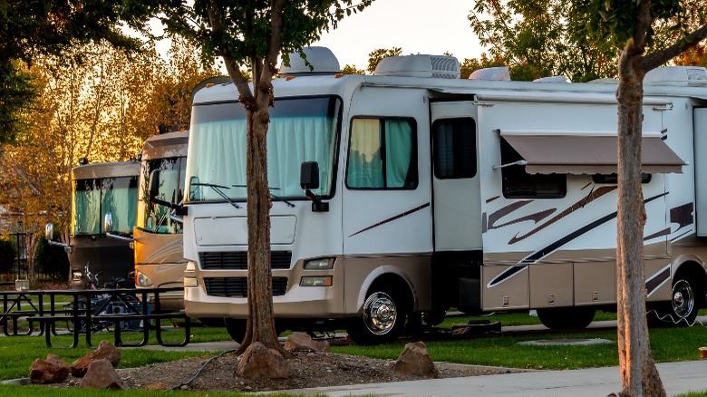 Rvs lined up at campground