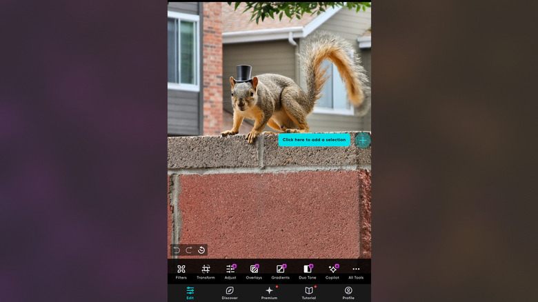 Polarr for Android