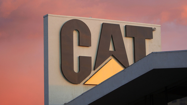 Cat sign during sunset