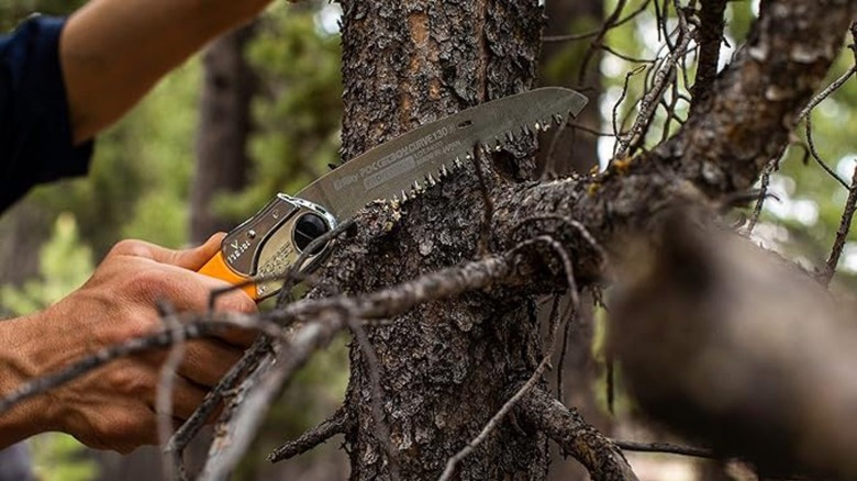 Mini saw being used on tree limb