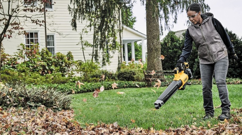 Person using 20V Max XR Brushless Cordless Handheld Blower on leaves in yard