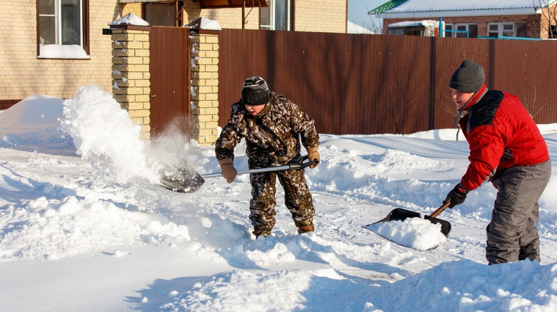 Kids trying to shovel