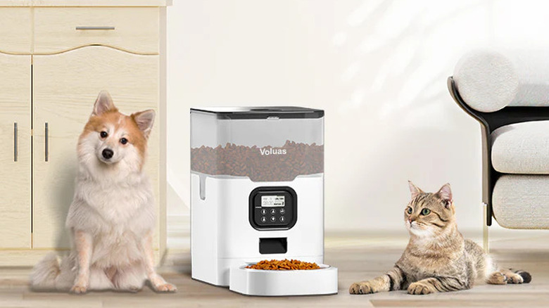 Voluas dispenser with dog and cat