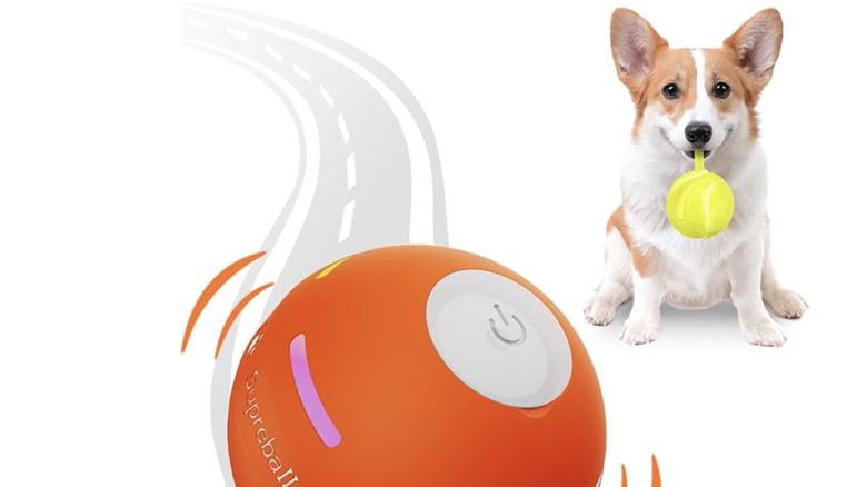 PetDroid Interactive Dog Ball