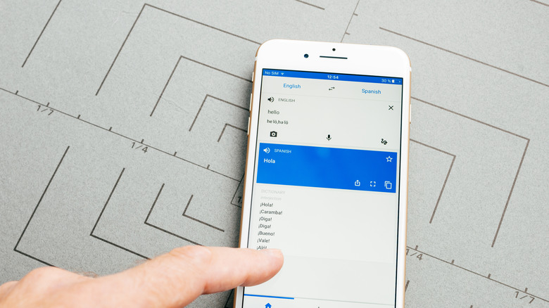 using Google Translate iPhone