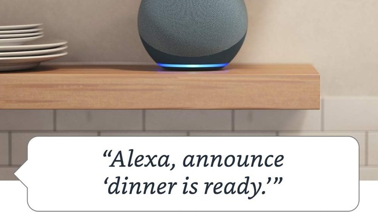 Echo Dot on a kitchen shelf with announcement message displayed