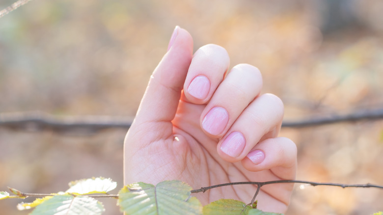 woman showing off nails in forest